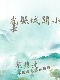 岚县城关小学校长