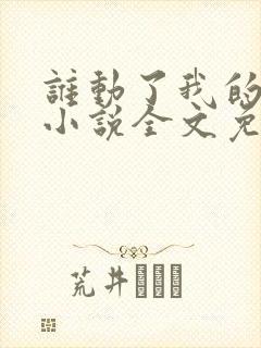 谁动了我的老婆小说全文免费阅读一