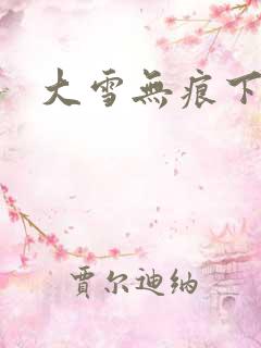 大雪无痕下载