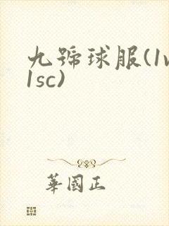 九号球服(1v1sc)