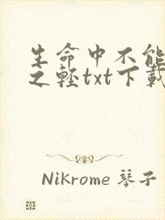 生命中不能承受之轻txt下载