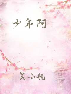 少年阿