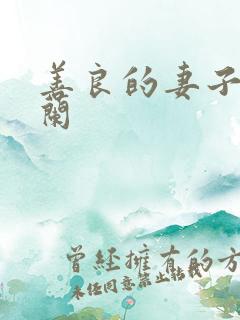 善良的妻子王晓兰