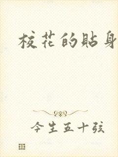 校花的贴身保安