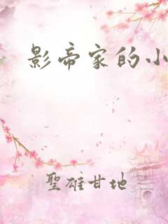 影帝家的小厨娘