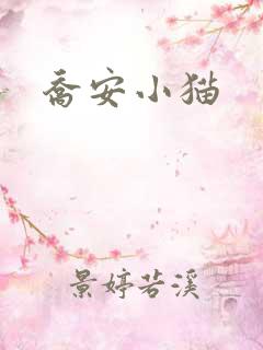 乔安小猫
