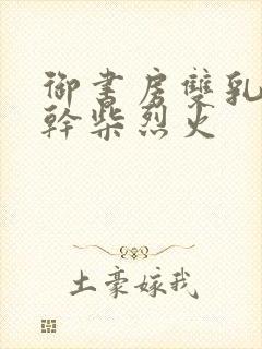 御书房双乳晃动干柴烈火