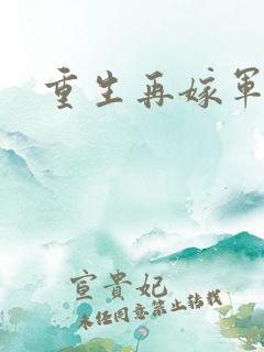 重生再嫁军门