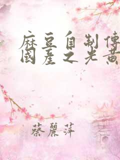 麻豆自制传媒 国产之光黄