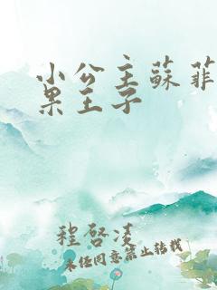 小公主苏菲亚雨果王子
