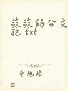 苏苏的公交车日记 txt