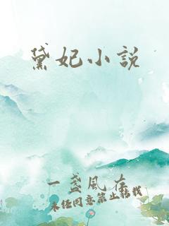 黛妃小说