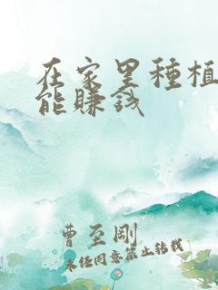 在家里种植什么能赚钱