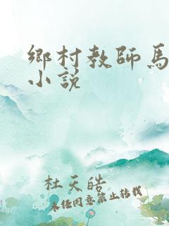 乡村教师马良的小说