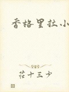 香格里拉小说