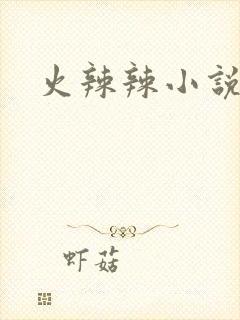火辣辣小说全集