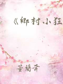 《乡村小狂医》