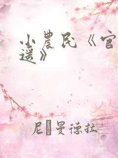 小农民《官路逍遥》