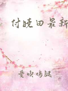 付晓田最新消息