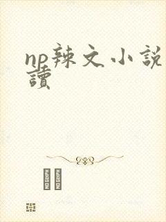 np辣文小说阅读