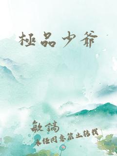 极品少爷