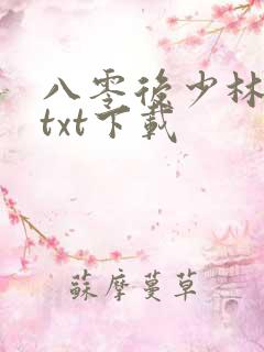 八零后少林方丈txt下载