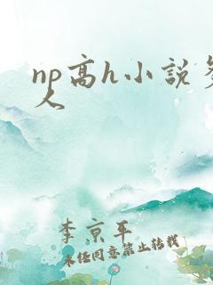 np高h小说多人