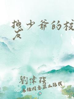 拽少爷的校花女友