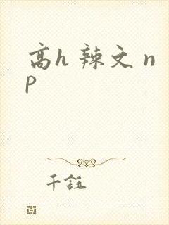高h 辣文 np