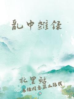 乱中杂录