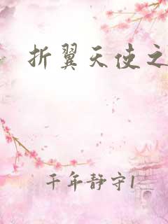 折翼天使之城