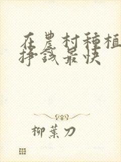 在农村种植什么挣钱最快