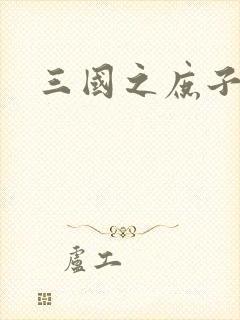 三国之庶子称雄