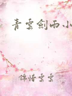 青云剑雨小说