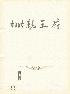 tnt亲王府