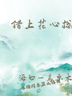错上花心总裁