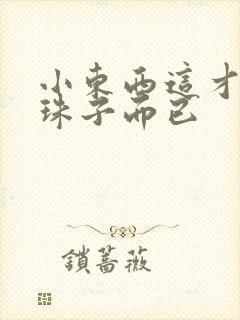 小东西这才一颗珠子而已