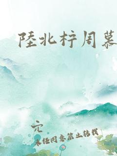 陆北柠周慕深