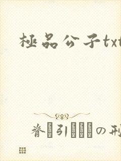 极品公子txt