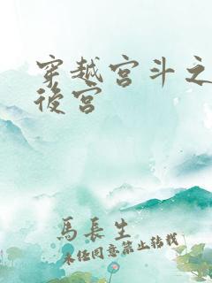穿越宫斗之狐狸后宫