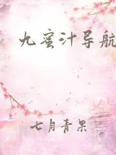 九蜜汁导航