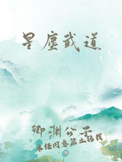 星尘武道