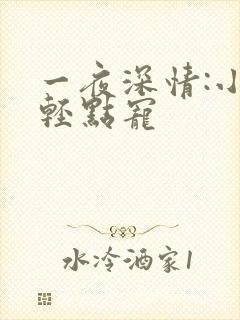 一夜深情:小叔轻点宠