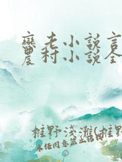 恋老小说言情网农村小说全文阅读