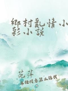 乡村乱情小雷小彩小说