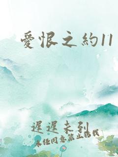 爱恨之约11
