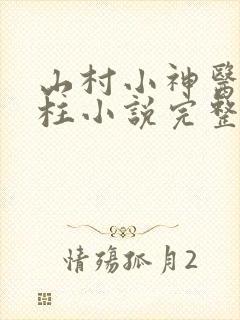 山村小神医王铁柱小说完整版