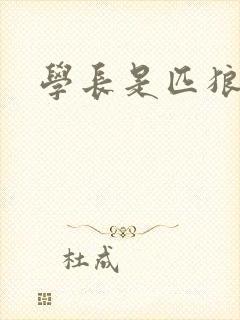 学长是匹狼