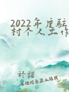 2022年度驻村个人工作总结