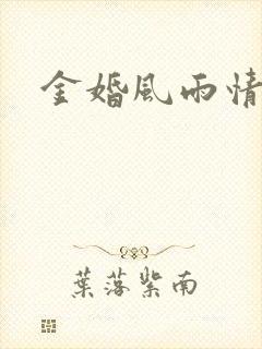 金婚风雨情下载